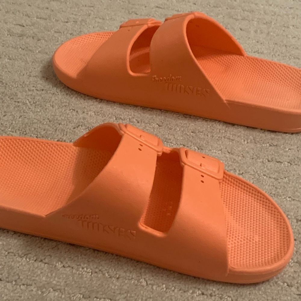 FREEDOM MOSES SLIDES - Picture 3 of 3